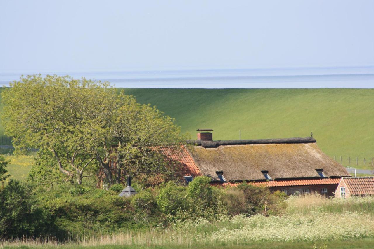 Gasthof Grosser Krug Norddeich Kültér fotó