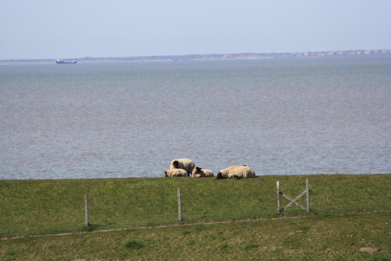 Gasthof Grosser Krug Norddeich Kültér fotó